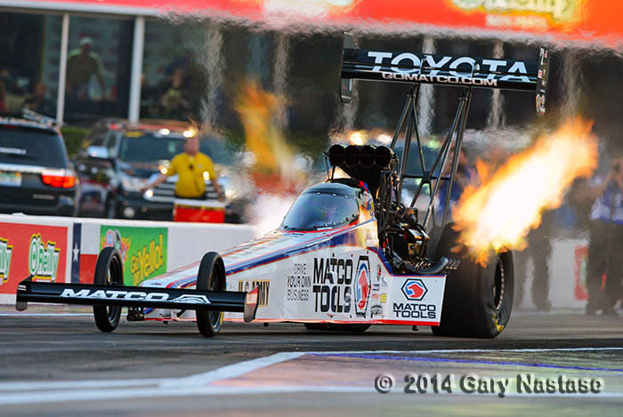 brown antron