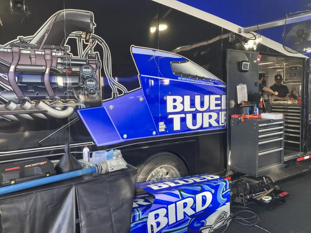 ashley bluebird 02